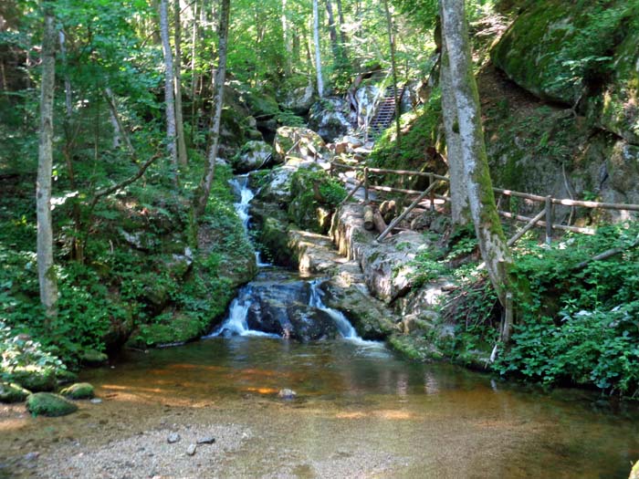 das parkähnliche Ambiente erinnert an fernöstliche Landschaftsgärten, die unzähligen Holztreppen an die gepflegten Wanderwege in den südkoreanischen Bergwäldern