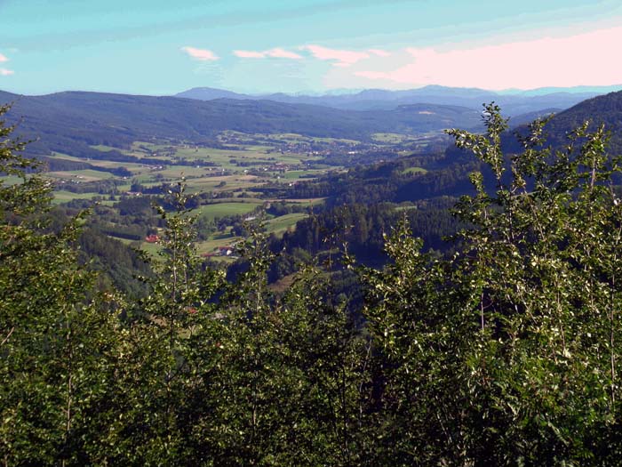 von einer kleinen Aussichtsplattform genießt man bei klarem Wetter den Blick über Ötscher und Dürrenstein bis zu Hochschwab und Gesäuse