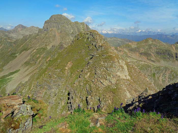 Blick vom SO-Gipfel der Gr. Ohrenspitze auf den nordwestlichen Zwilling ...