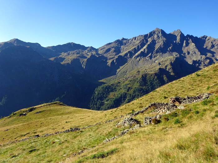 ... bis auf die Hochwollandalm mit Blick auf den Seichenspitzkamm    