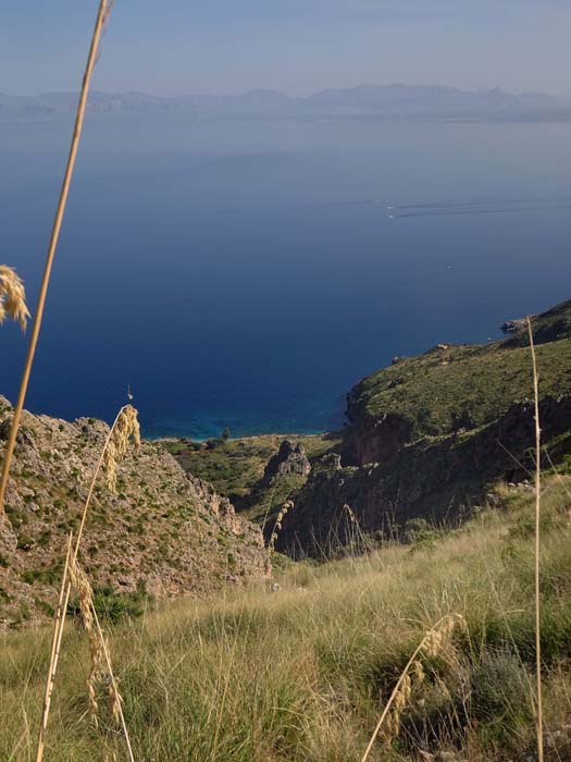 ... kommt von der Cala dell'Uzzo die bei der prähistorischen Grotte beginnende Schlucht herauf