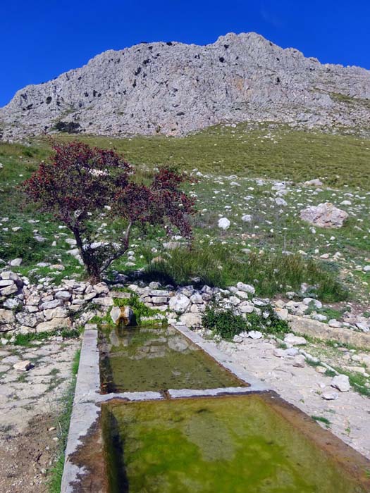 unser Wanderweg mündet in eine schmale Schotterstraße; unter dem Monte Acci eine alte Viehtränke