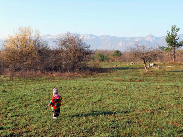 ... und los geht's! Ronja läuft zielstrebig in Richtung Velebit