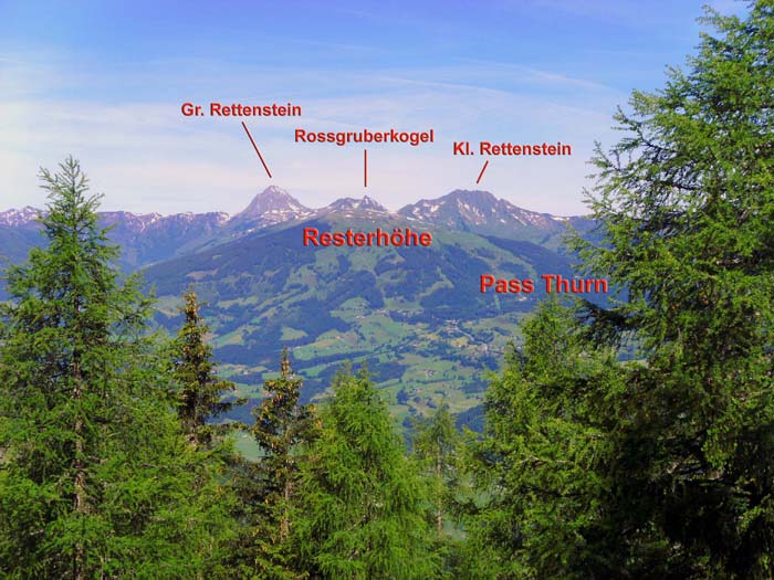 durch die Baumkronen werden im NW die felsigen Rettensteine der Kitzbüheler Alpen sichtbar
