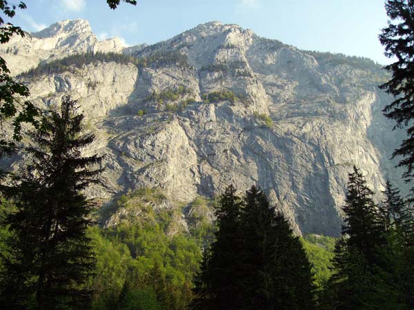 der Schönbachkopf mit seiner Südwand aus dem Bluntautal, links Vorderes Freieck; diese beiden Gipfel bilden den Auftakt zum längsten Gratanstieg auf den Göll, dem tollen Kuchler Kamm (s. Archiv Bergsteigen)