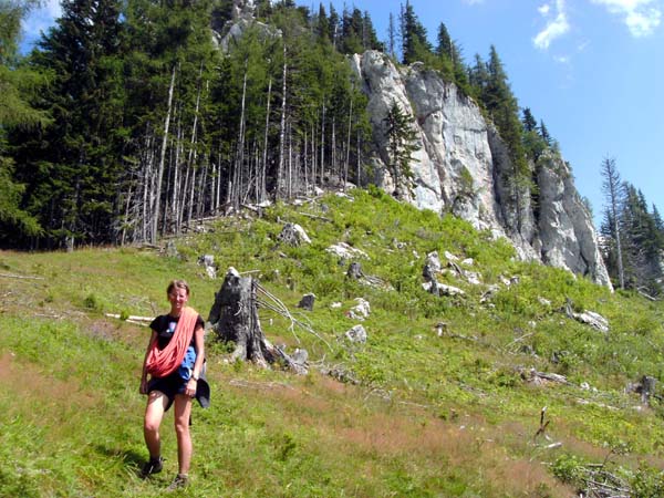 von der Bergwiese nicht den verlockenden Steigspuren links in den Wald folgen, sondern schräg rechts auf etwas verwachsenem Wiesenpfad weiter; Steinmänner auf Baumstümpfen