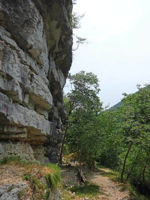 griffige Überhänge im linken Wandteil der Piccola Bassa