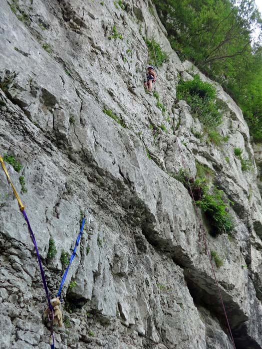 frisch geputzt und gebohrt: das oberste halbe Dutzend Routen vom Paretone in Dardago; Ronja in Foresta 4c