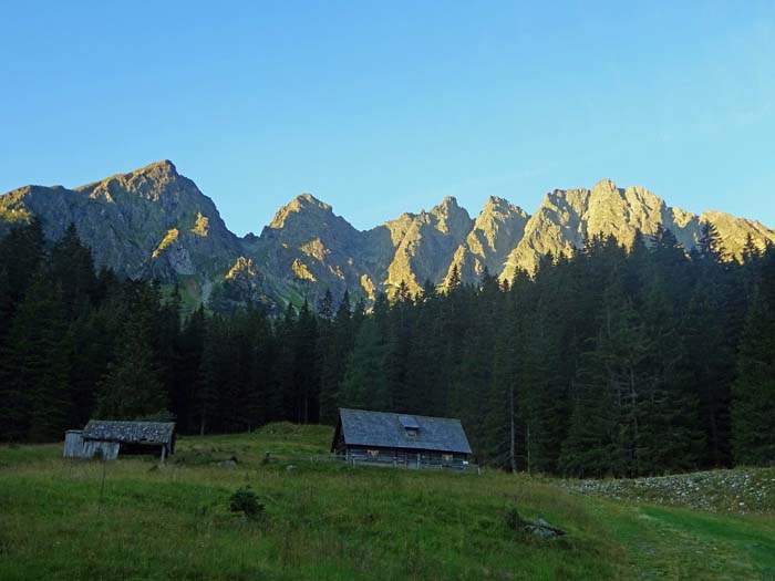 hinter der Mödringalm durchqueren wir am markierten Wanderweg noch einen kurzen Waldgürtel, ...