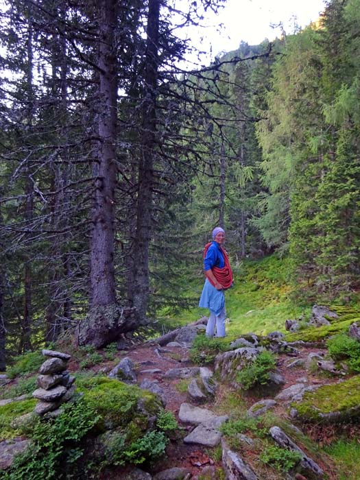 ... einen gut ausgeprägten Jagdsteig finden; an dieser Stelle kann man die deutlich sichtbare Abzweigung nach rechts in die Amtmannscharte nehmen und so den Einstieg zum Grat direkt erreichen; wir holen aber in weitem Bogen nach links aus ...