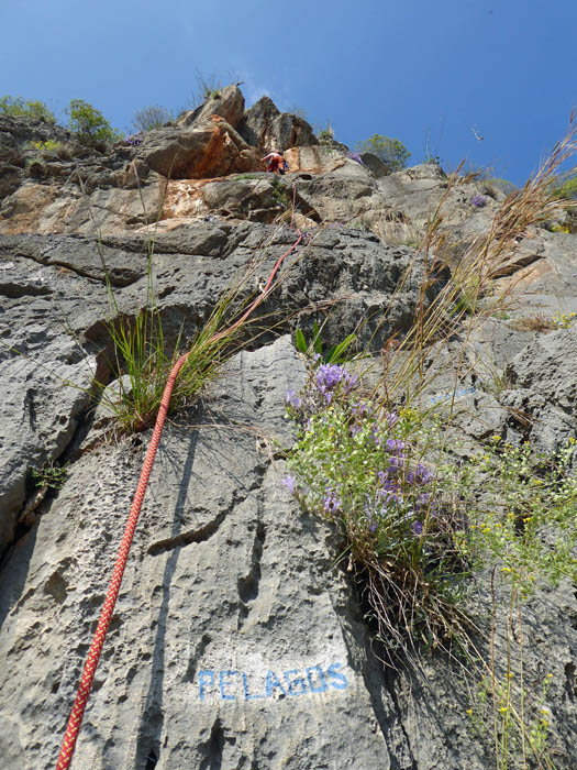 Ulli in Pelagos 5c+, Sektor Mythologia