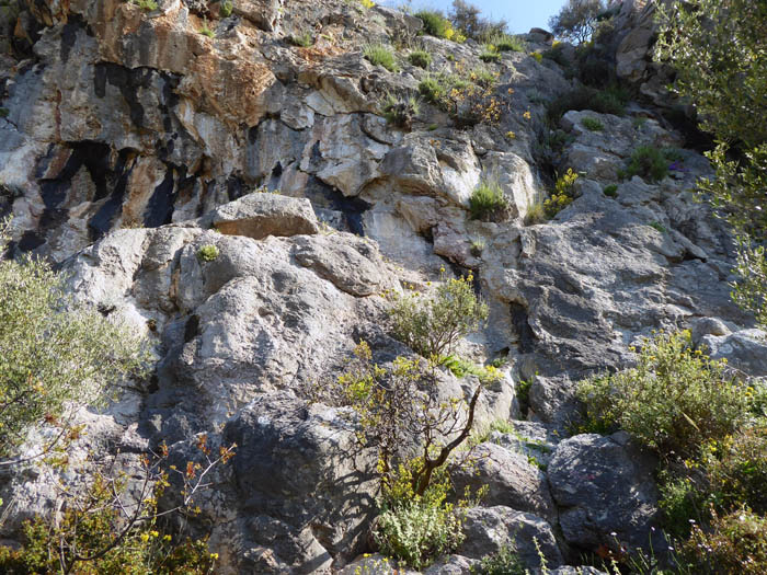 das Gebiet ist vergleichsweise vernachlässigt und ziemlich verwachsen; im Bild die Einstiege zu den beiden Gstöttenmayr-Routen Fantasia 6b+ und Via Chora 6a