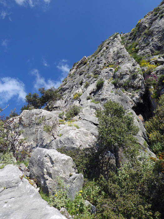 viel weiter links und schwer aufzuspüren die Trad-Touren von  Titt/Zaczek (5b/c); die einzige gebohrte Linie: Scotts Bad Day Out 6a+; man erreicht den hoch oben liegenden Einstieg über die glatte Rampe links des Schluchtrisses (mit der Route Albtraum 5b)