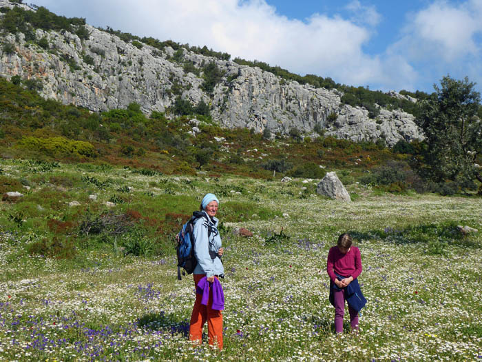 ... den Sektor Flower Power über einer prächtigen Blumenwiese