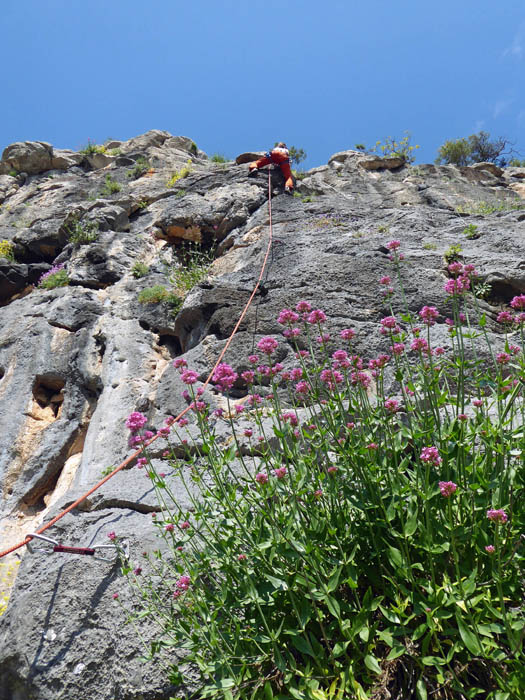 Genuss ohne Ende: Ulli in Flaps 5b im Sektor Flower Power