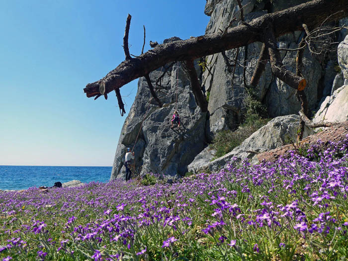 in Loutra am westlichen Chalkidikifinger ist in den letzten Jahren unter deutschen Händen ein spielerisches Klettergebiet unmittelbar am Meer entstanden; Ronja in Siegrun 3+ am Unteren Strandturm