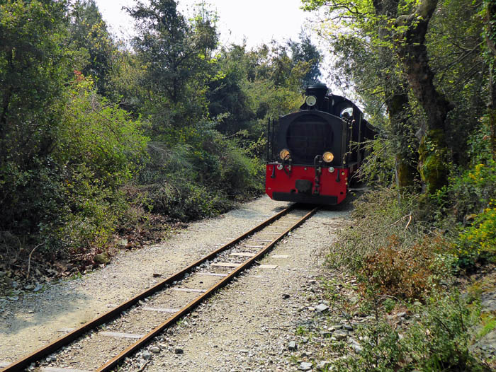 zweimal täglich rumpelt die kleine Bahn übers Geleise, die Trasse ist auch ein beliebter Wanderweg