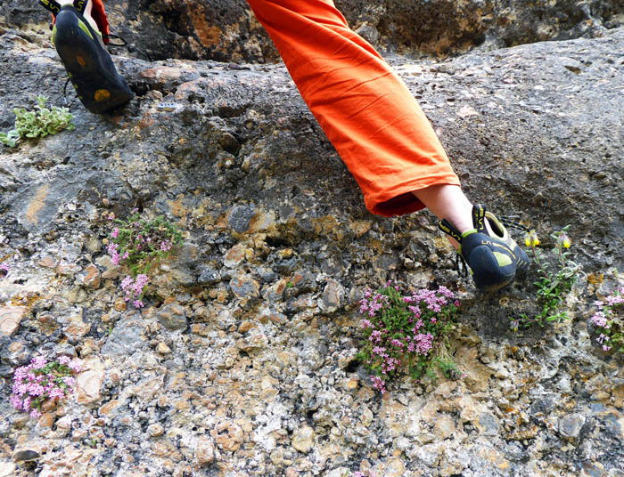 das Gestein ähnelt dem im weltberühmten Metéora, ist aber wesentlich fester, auch sind die Routen weit dichter abgesichert; Blumenschmuck in Mina 6b