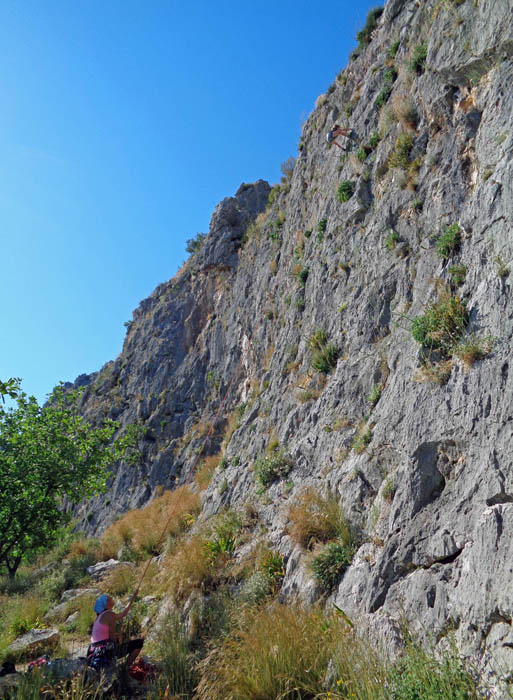 Ronja in Mirmigi 4c, Sektor School, Kalógria