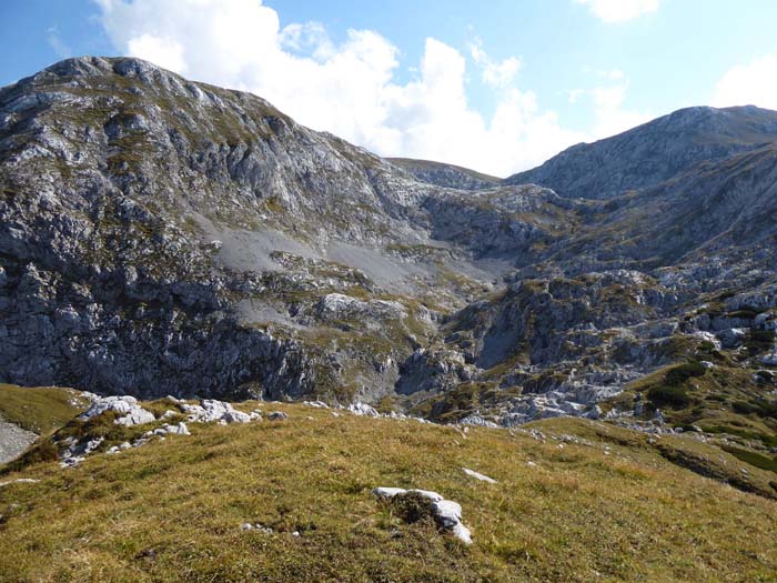 vom Gipfel hüpfen wir die Wiese hinunter zum Auslauf des Kellerbrunn; darüber Rauchtalsattel und Hochwart (rechts)