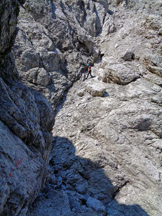 weiter hinauf auf einer schmalen Trennungsrippe rechts der Schlucht; weiter oben verlassen wir den Originalweg und klettern ...