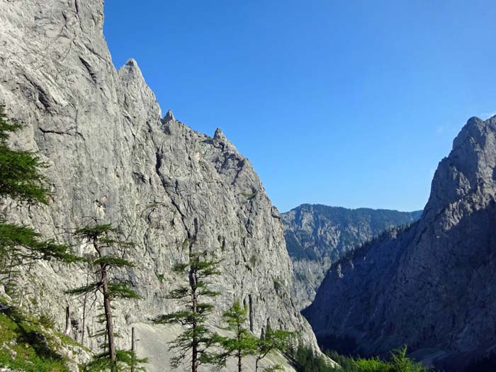 ... in Richtung Höllkamp-Ostschulter zu queren; Rückblick in den Unteren Ring