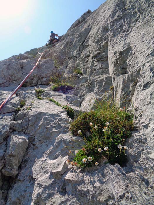 die 10. Seillänge führt 60 m schräg links aufwärts, die Schlüsselstelle - ein kurzer, glatter Quergang - kann auch umgangen werden; das allerdings könnnte dem Seilzweiten weniger gefallen, weil man dadurch auch einen versteckten Haken versäumt