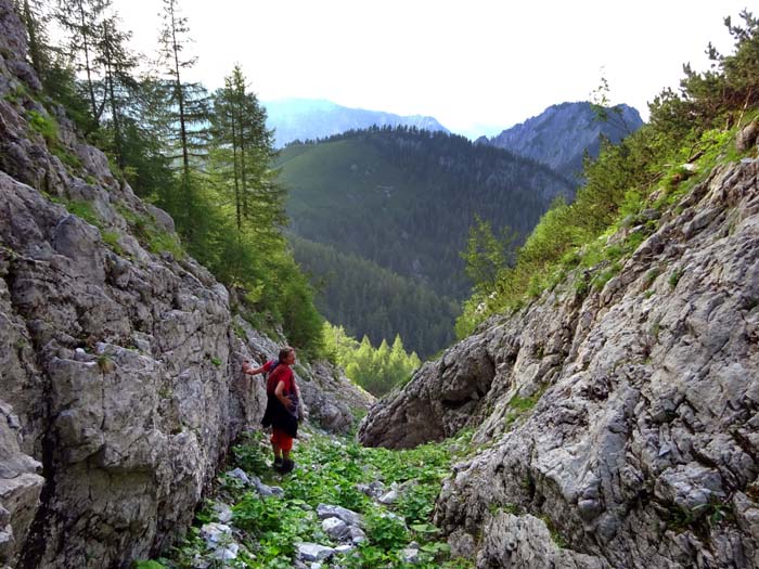 in der sich vertiefenden Schlucht links des auffallenden Latschenkögerls, unmittelbar vor der Rutschstelle