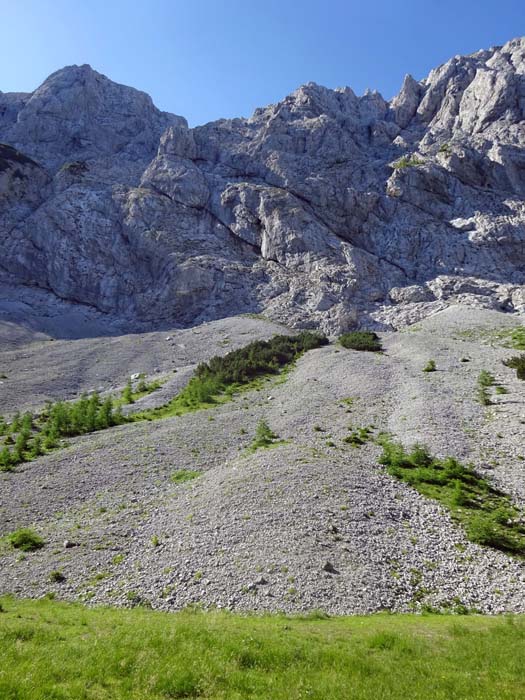 hoch über einem romantischen Wiesenfleck im benachbarten Felskessel die Schneekarmauer mit mehreren klassischen und einer modernen Route; der Einstieg zu den Letzten Goten (7-/5+A0) befindet sich am rechten Ende des Horizontalrisses knapp überm Wandfuß in der linken Bildhälfte