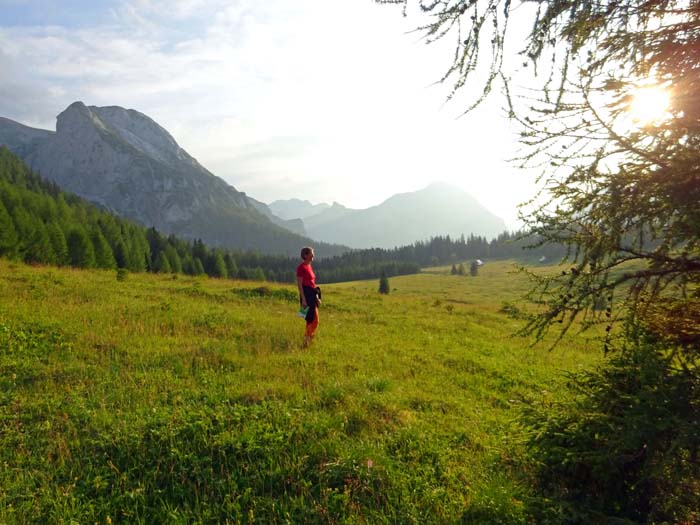 auf der Edelbodenalm beginnt das unbeschwerte Auslaufen 700 Hm ins Salzatal hinunter; wie wär's morgen mit der Tremmleck-Ostwand (links)? Vier Wege stehen zur Auswahl, zwei davon gebohrt