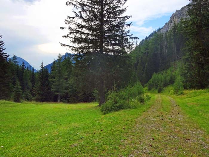 eine weitere Abstiegsmöglichkeit vom Brunnriegel bietet der alte Jagdsteig östl. des Edlerkogel in den Miessattel; hier der Blick gegen Westen auf Riegerin und Hochtürnach