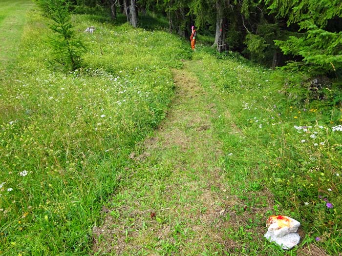 die Fortsetzung des Jagdsteigs vom Miessattel östlich durch einen Seitenast des Brunntals ...