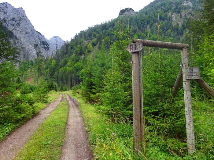 ... hinunter in die Vordere Höll; von unten ist der Beginn schwer zu finden: 20 m nach diesem Holztor ...