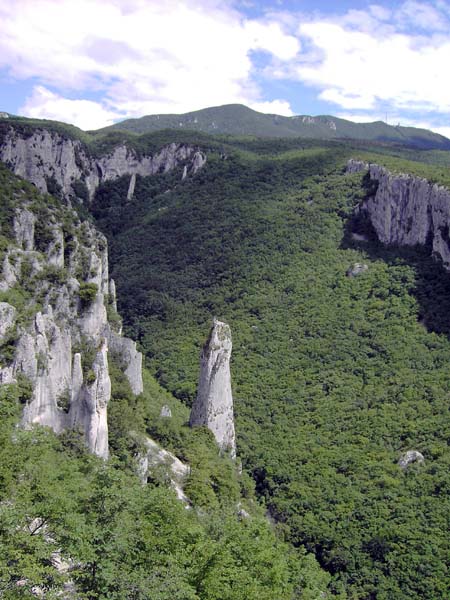 der Naturpark Vela draga am Učka NW-Abhang