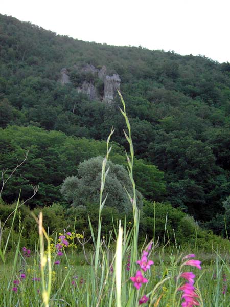 die Felsen von Dolina Raše thronen burgartig über dem entlegenen Tal