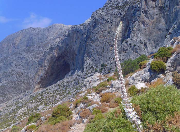 die Grande Grotta, ein Highlight an der Westküste