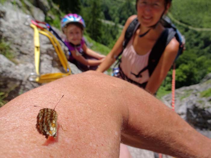 die Route wird ihrem Namen gerecht: Besuch am 3. Stand der „Schmetterlingsplatte“