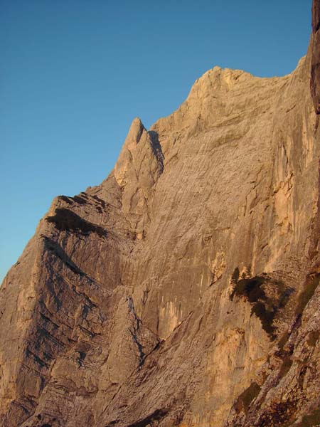 die fantastische Riesenplatte der Planspitze NW-Wand im Abendlicht, vom aufgelassenen Bergführersteig aus