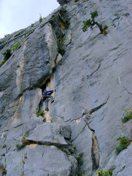 Ulli im Sektor Cafe Central - Muratti 5c