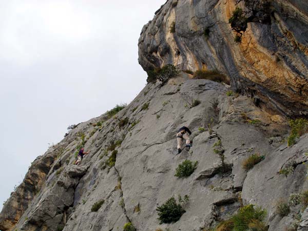 ... ist an der Reihe: Camel trophy 5c