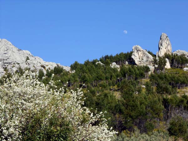 das Wahrzeichen über Krvavica - die kühne Felsnadel der Svića; der gemütliche Lagerplatz liegt genau im Sattel an der Grenze Wald - Felsen, die Routen links jenseits des Kammes