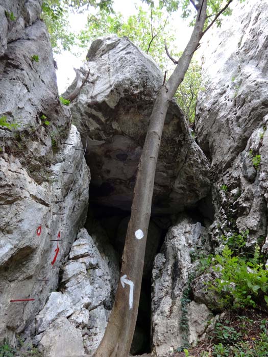 ... beginnt der Westgrat-Klettersteig: das Einstiegswandl, ...