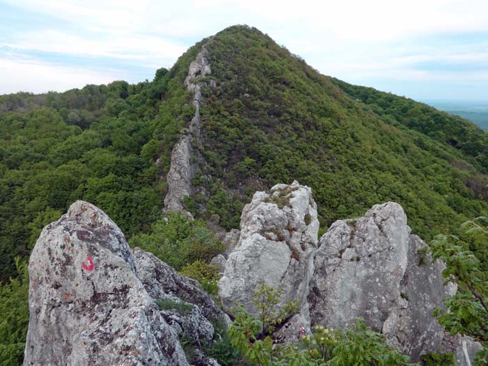 Blick über die Krone des Sektors G auf den Zapadni greben (Westgrat des Nachbargipfels; 150 m, 4 SL, 4c)