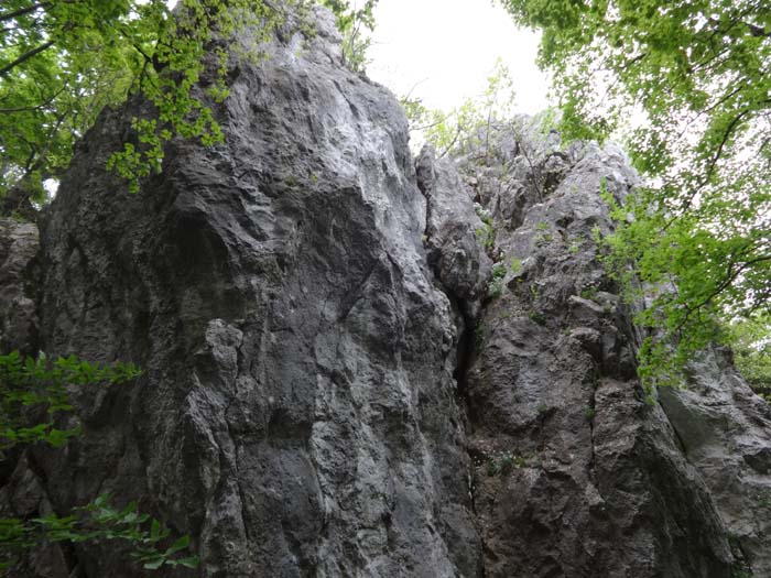 tief im Wald auf der Nordseite des Kalnik versteckt die zwei schattigen Wände von Vražji vrt, hier das südliche Massiv I1