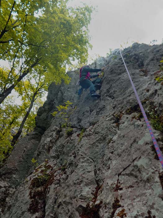 Ulli in Vražji ljigavac 5b an der nördlichen Wand; der Felsen wird selten besucht und ist im Einstiegsbereich ziemlich bemoost; das Ambiente erinnert an den friulanischen Märchenwald von Bosplans