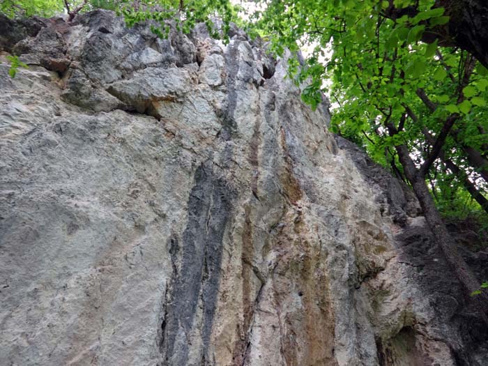 im kleinen Klettergarten von Ljubelj