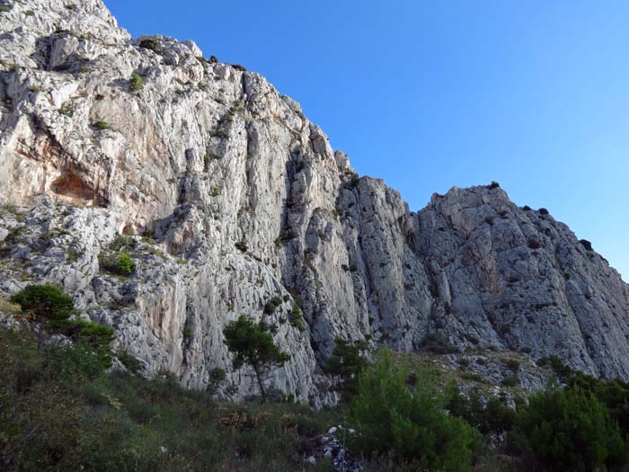 der linke Wandteil von Sektor Stomorica (A) beherbergt zwei 5-SL-Touren (Einstiege hinter dem großen Baum links der Bildmitte), abgeseilt wird von der Scharte (50 m)