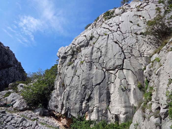 an der Engstelle weiter oben dieses kleine kompakte Wändchen mit vier steilen Routen um 6b