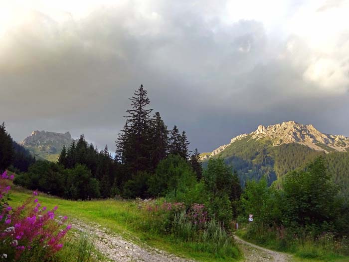 Abmarsch vom Parkplatz an der Pistentrasse der Panoramaabfahrt vom Polster; links die Vordernberger Griesmauer mit dem „Fledermausgrat“, einer der besten Genusstouren (IV) der Steiermark