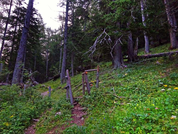 noch ein Stück folgen wir dem Wanderweg in Richtung Lamingsattel, direkt bei diesem Holzgatter rechts ab, erst auf Steig, dann teilweise verwachsen einen Graben querend ...